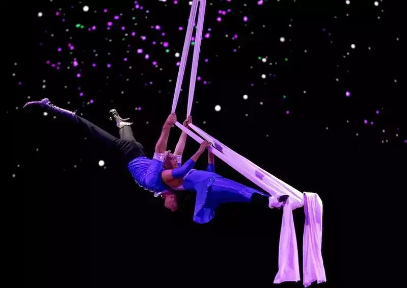 aerial act at Dolly Parton's Stampede