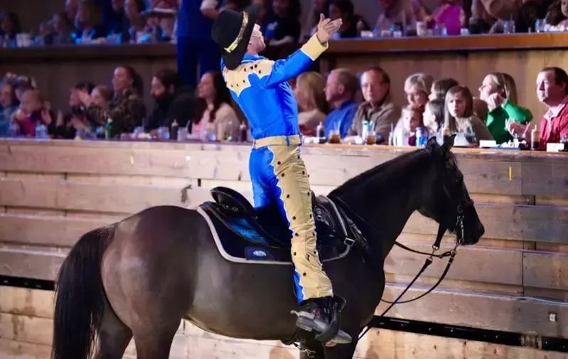 performer facing the audience at Dolly Parton's Stampede