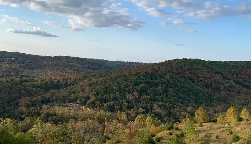 fall foliage in Branson MO