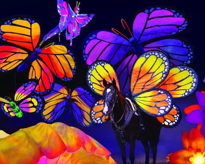 colorful butterfly wings around horse