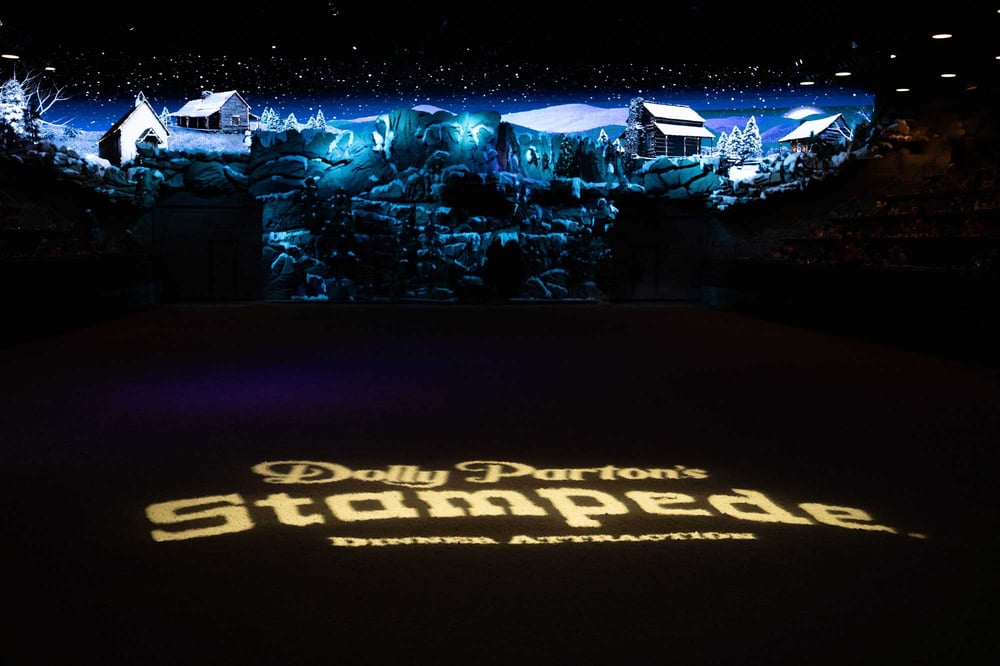 The Stampede stadium with the logo projected on the floor
