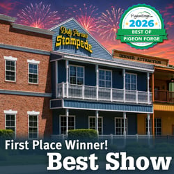 Dolly Parton's Stampede voted best show 2026