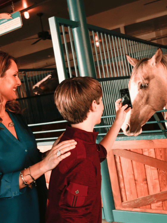 Stampede-photo-horse-walk