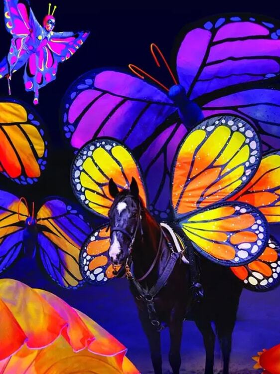 Image of the breathtaking new Butterfly Dreams segment at Dolly Parton’s Stampede.