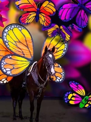 horse in costume for butterfly dreams show