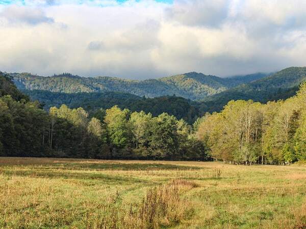 Image of the Great Smoky Mountains from the National Park Service.