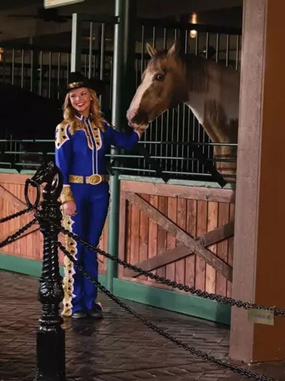 images at the horse walk of the animal and their trainers.