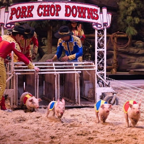 Stampede-pork-chop-downs