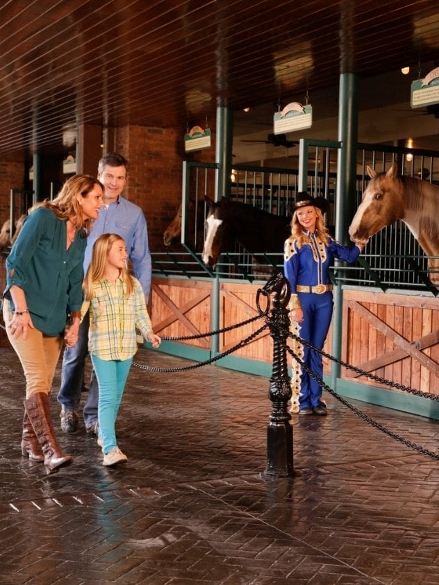 embeddable-d3-d997-c6-fb3-c-4-ce2-92-c7-874-a21-b9-be15