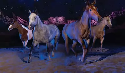 horses during new act at Dolly Parton's Stampede