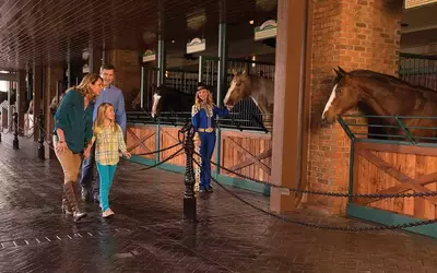 horse walk at dolly parton's stampede