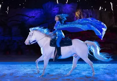 girl on white horse at Dolly Parton_s Stampede