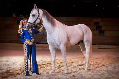 trick rider with horse at Dolly Parton's Stampede