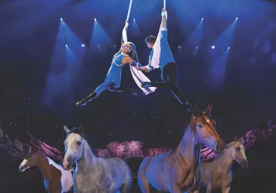 aerialists over horses at Dolly Parton's Stampede