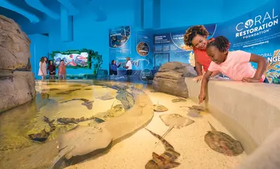 young girl and mother at touch pool at Branson aquarium