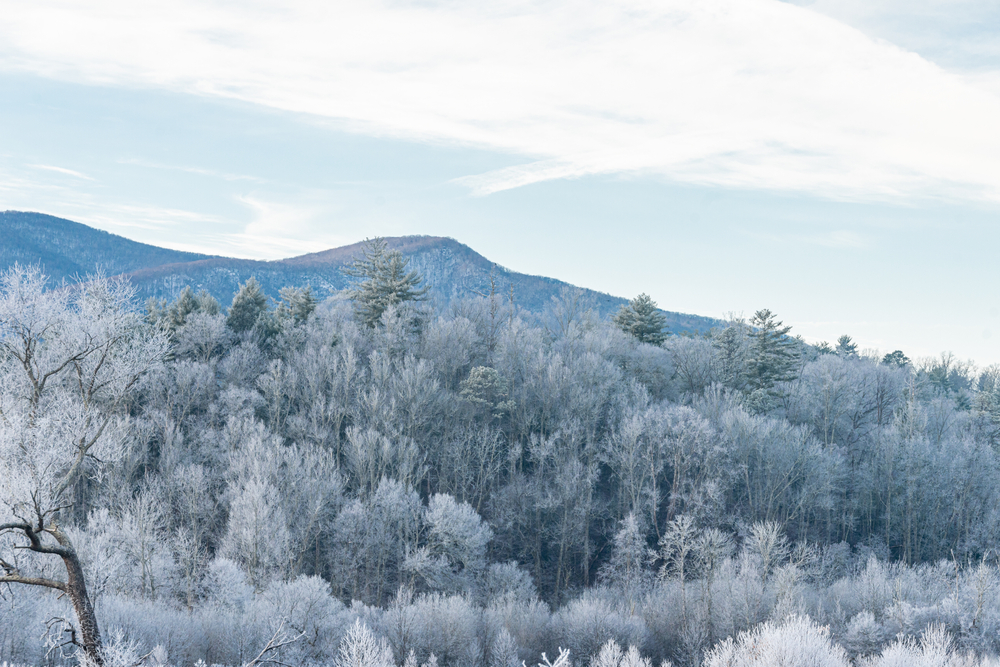 snow in the Smoky Mountains