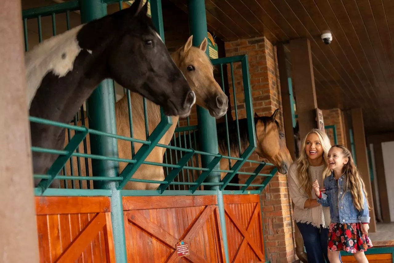 family at the Horse Walk
