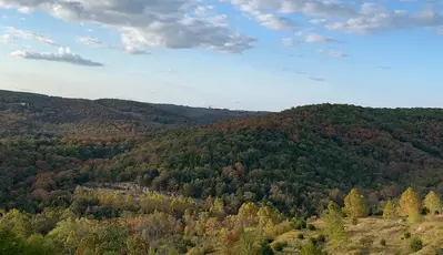 fall foliage in Branson MO