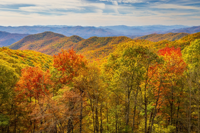 Fall foliage in Pigeon Forge