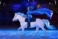 Stampede Performer on Horse at Christmas