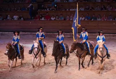 Dolly Parton's Stampede performers 