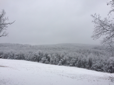 snow in the Ozark Mountains