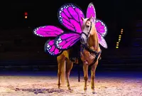 horse with butterfly wings at Dolly Parton's Stampede