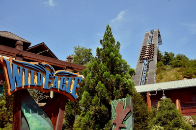 Wild Eagle roller coaster at Dollywood