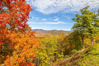 fall in Pigeon Forge