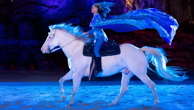 performer on horse during Christmas show