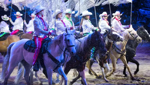 horses and performers